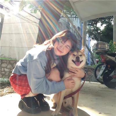 龙门驿站之太阳花