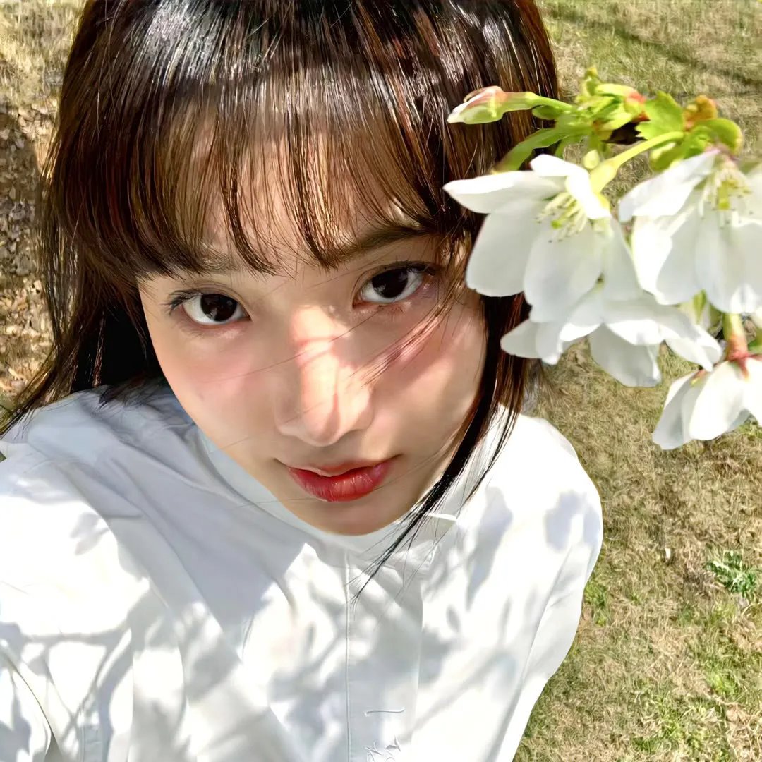 茶系郎中养成记